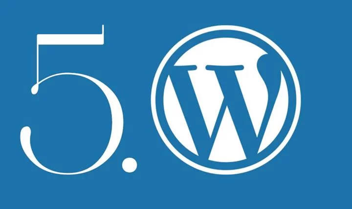 wordpress blog 5 0 guncelleme