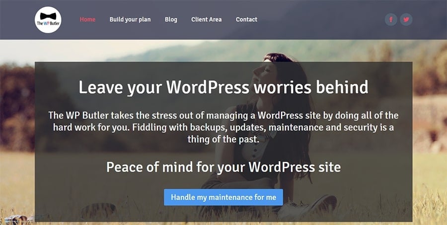 Wordpress bakım eklentileri