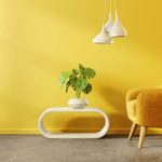 duvar renk taha fln iste