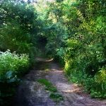 Fotoğraf Düzenlemenin En Kolay Yolu: Kullanışlı 5 Web Sitesi