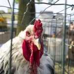 Her An Elinizin Altında Olması Gereken 10 Ücretsiz Web Aracı