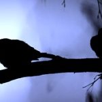 Kronik Yorgunluk Nedir?