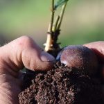 Permakültür Nedir?