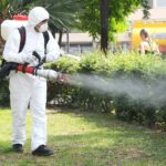 6ff486b9 d52d 4c08 818e a82c2c8789d1