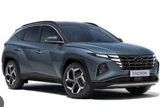 hyundai tucson hayal kirikligi 1