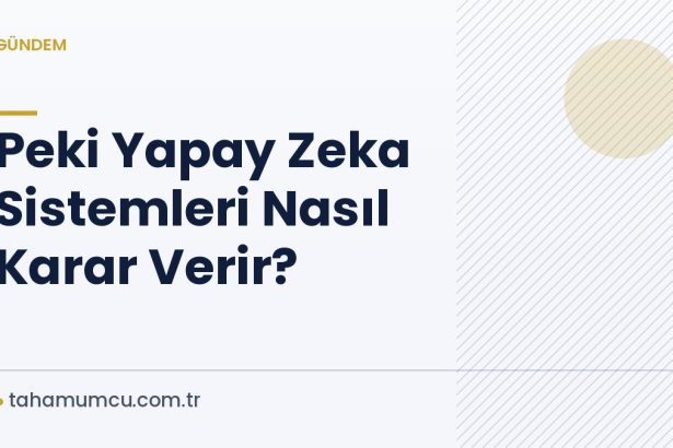 Peki Yapay Zeka Sistemleri Nasıl Karar Verir?
